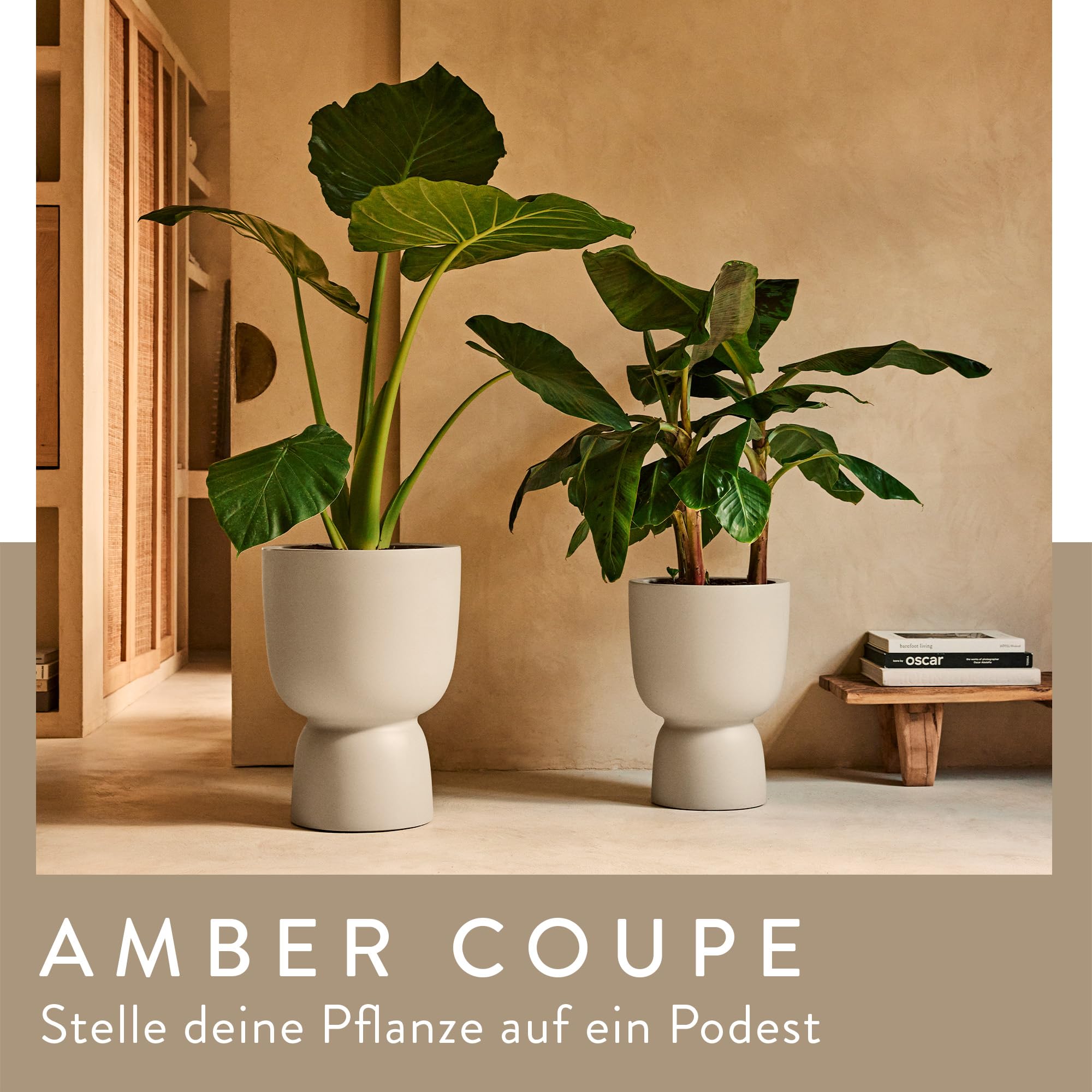 elho Amber Coupe 41 Blumentopf balanced beige 41,3 cm