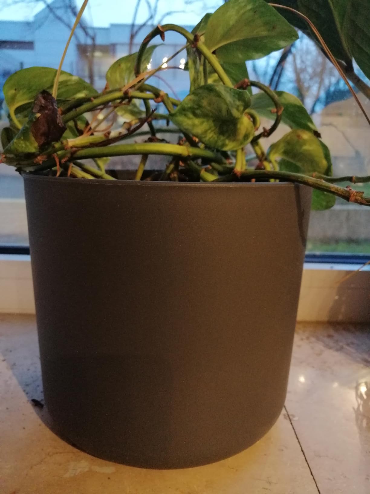 elho B.for Soft Rund Blumentopf 18 Anthracite 3er Set Innen