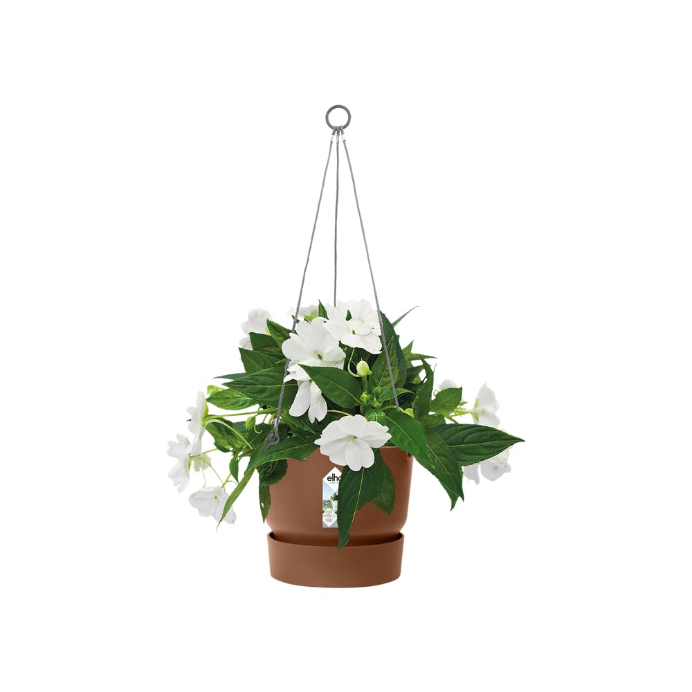 elho Greenville Hängeampel 24cm ingwer-braun mit Untersetzer
