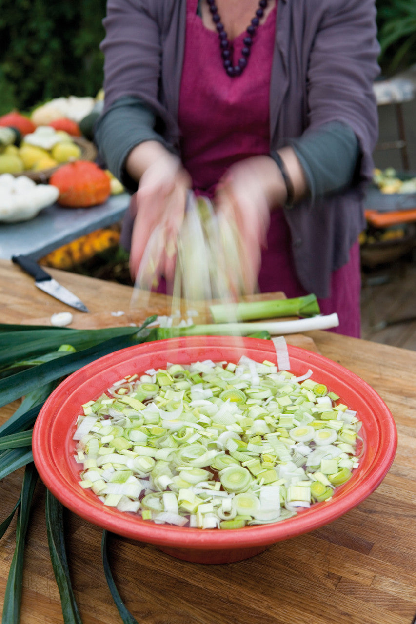 Sarah Raven Seeds Leek Musselburgh Saatgut 450 Samen winterhart