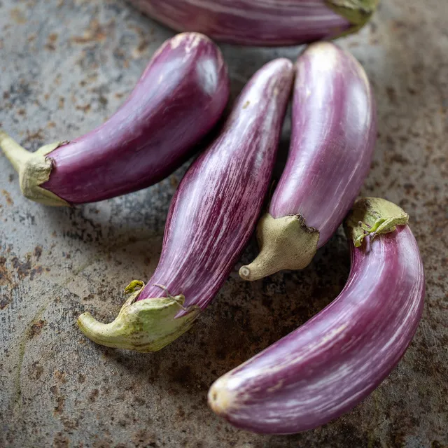 Sarah Raven Seeds Aubergine Listada de Gandia Gemüsesamen 20 Samen