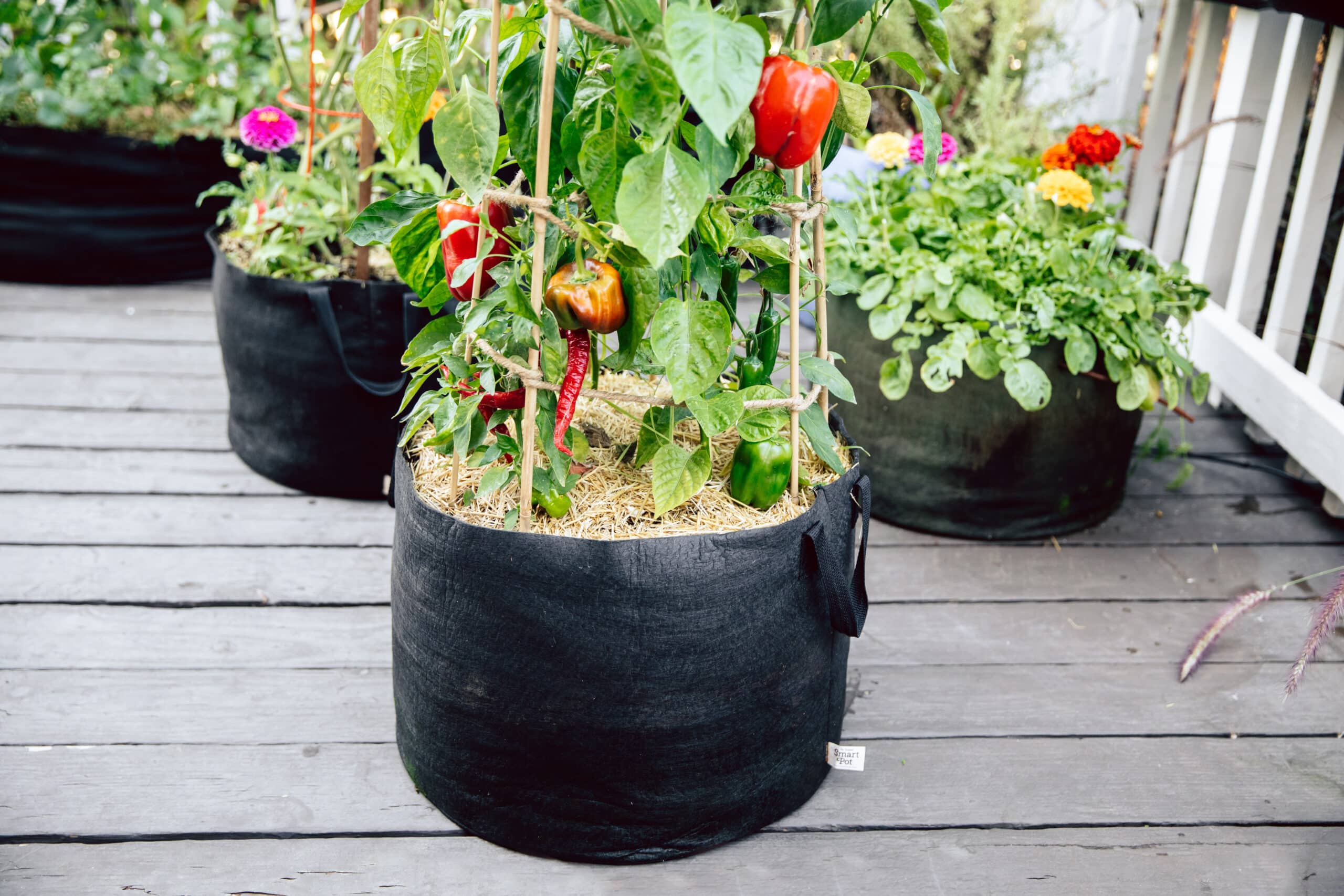 Smart Pot Fabric Planters Stofftöpfe 15 Gallonen schwarz 3er-Pack