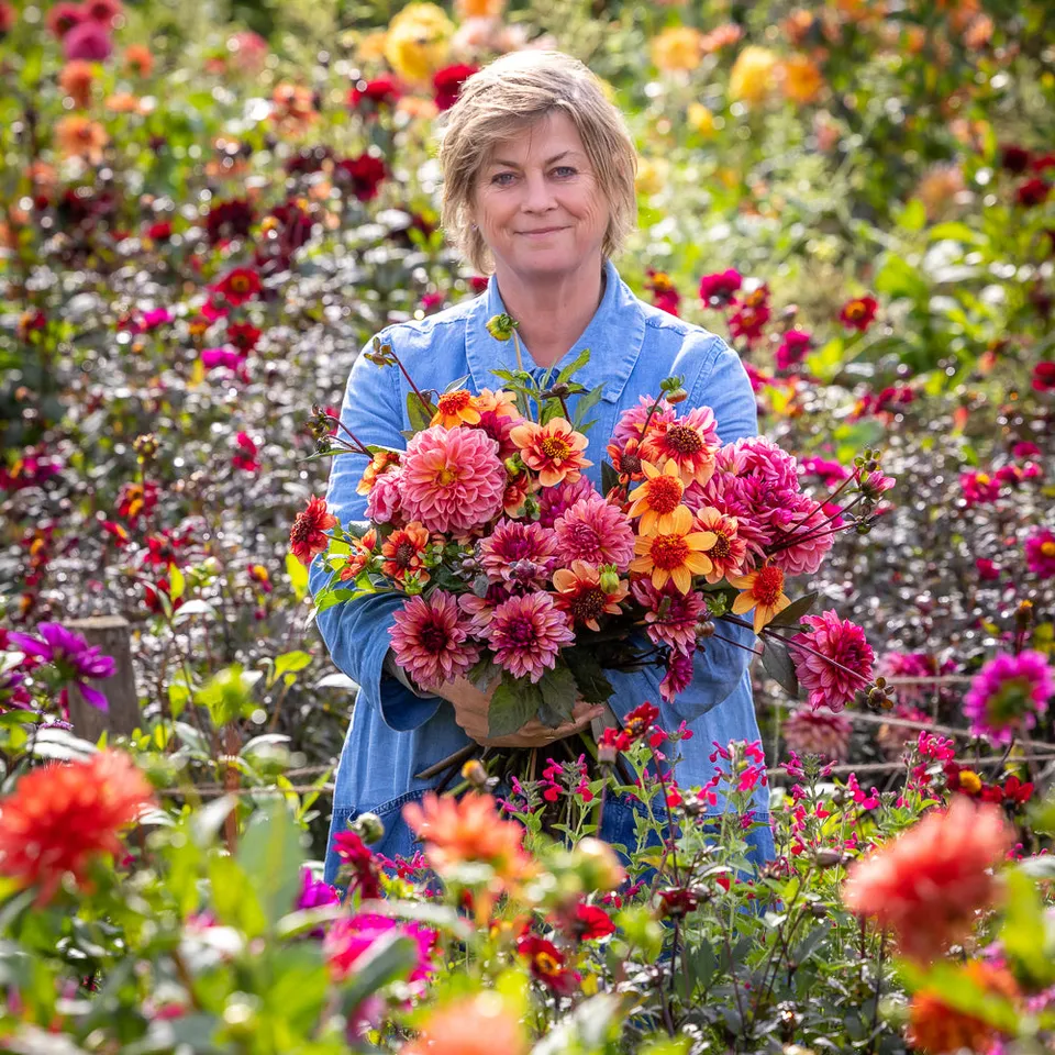 Sarah Raven Courses Kaleidoscope Garden Kurs 25. September Perch Hill