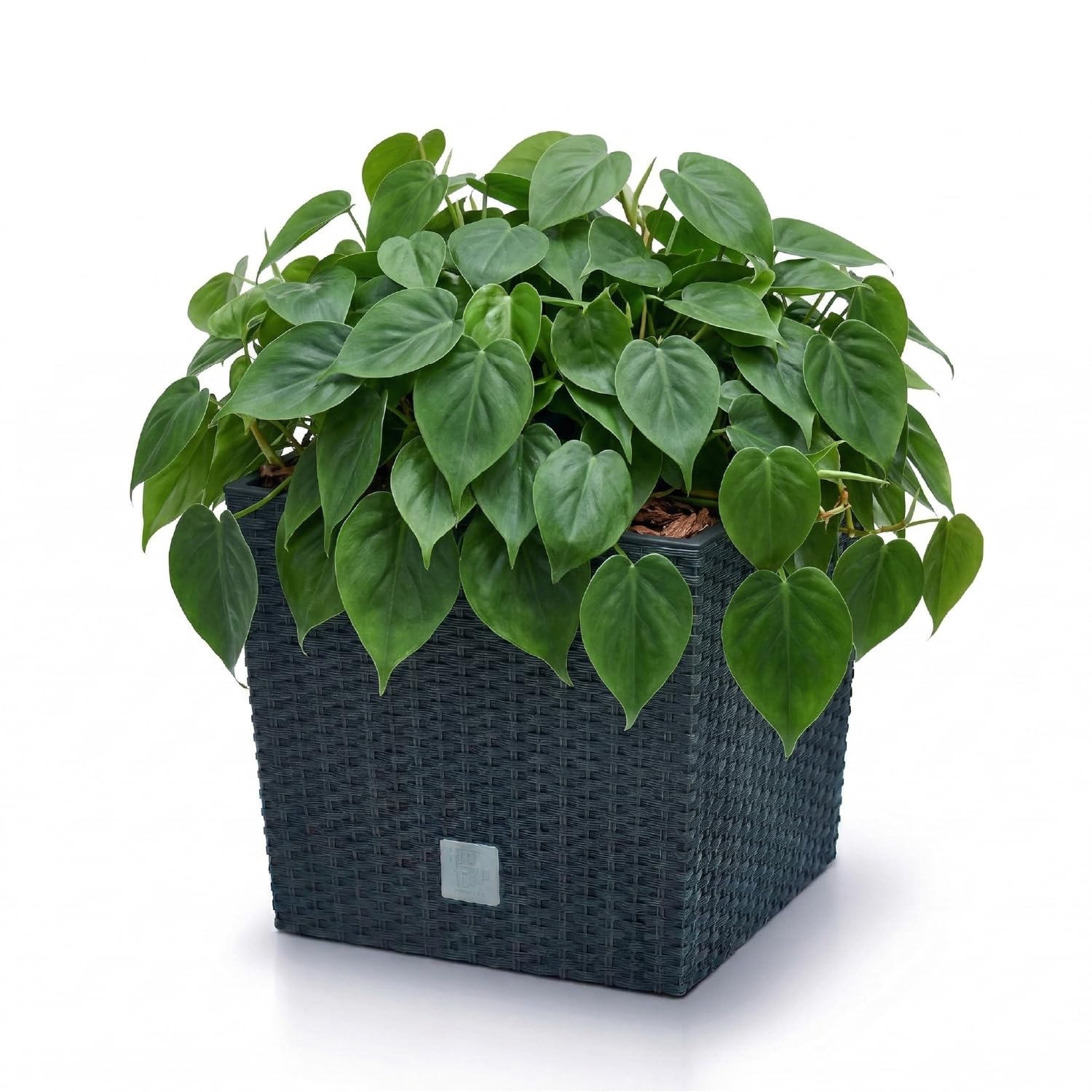 Prosperplast Rato Blumentopf anthrazit 40cm eckig mit Einsatz