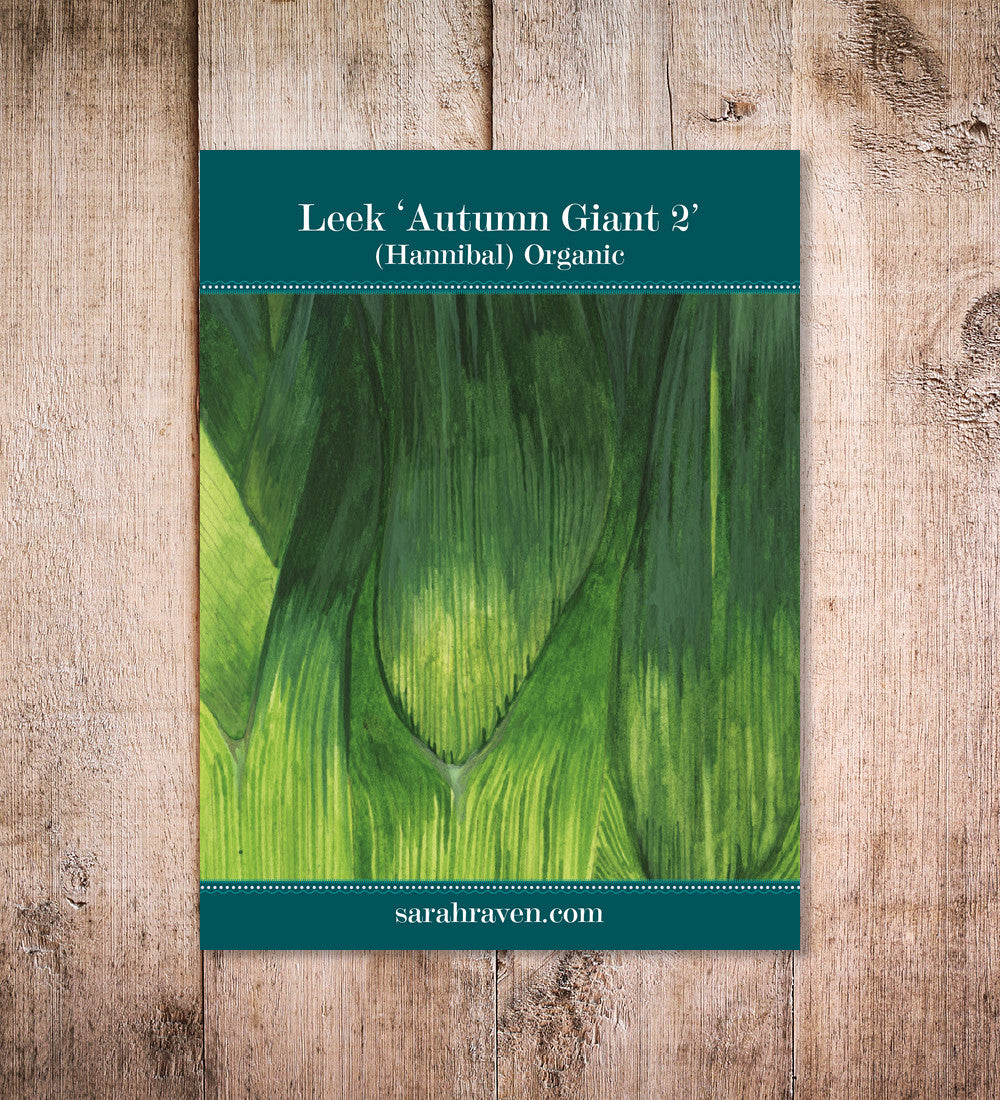 Sarah Raven Leek Autumn Giant 2 Samen 200 Samen bio weiß