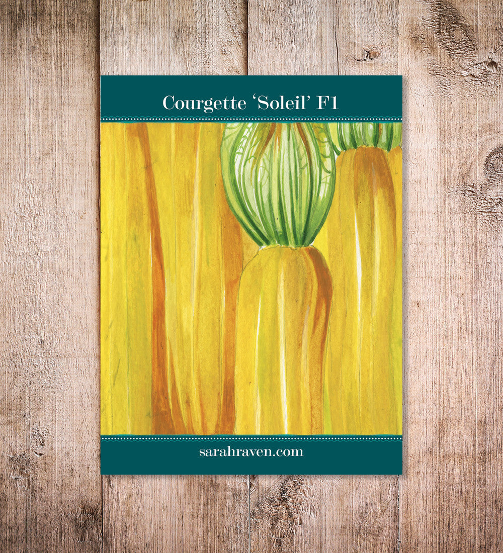 Sarah Raven Courgette Soleil F1 Zucchinisamen 8 Samen