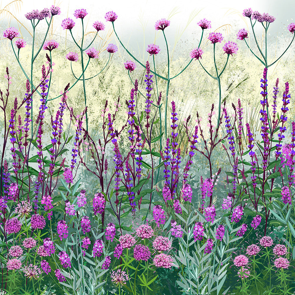 Sarah Raven Plants Chalky Soil Border Collection Staude 18x9cm lila