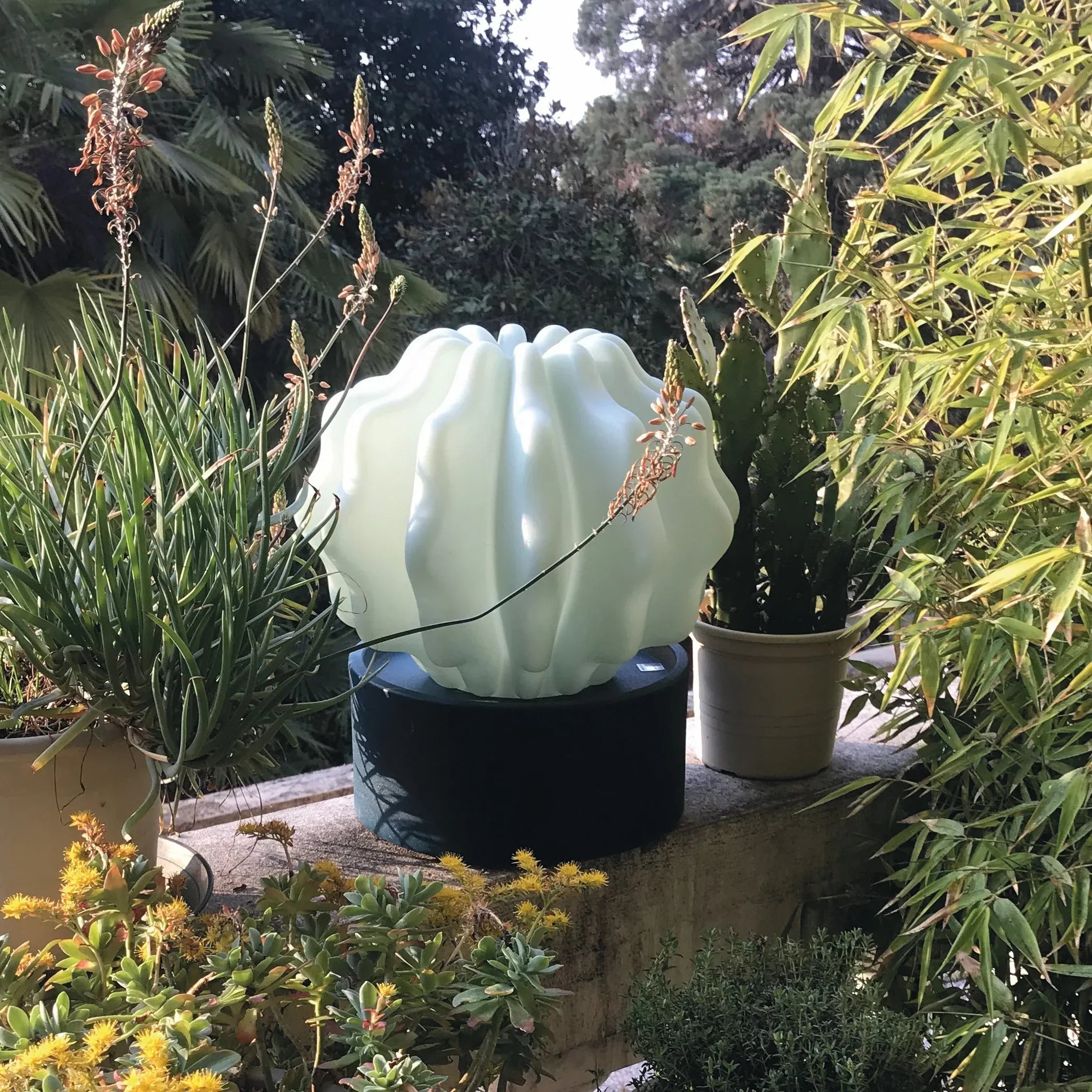 Serralunga Cactus Large Leuchtkaktus Grün mit Weißlicht