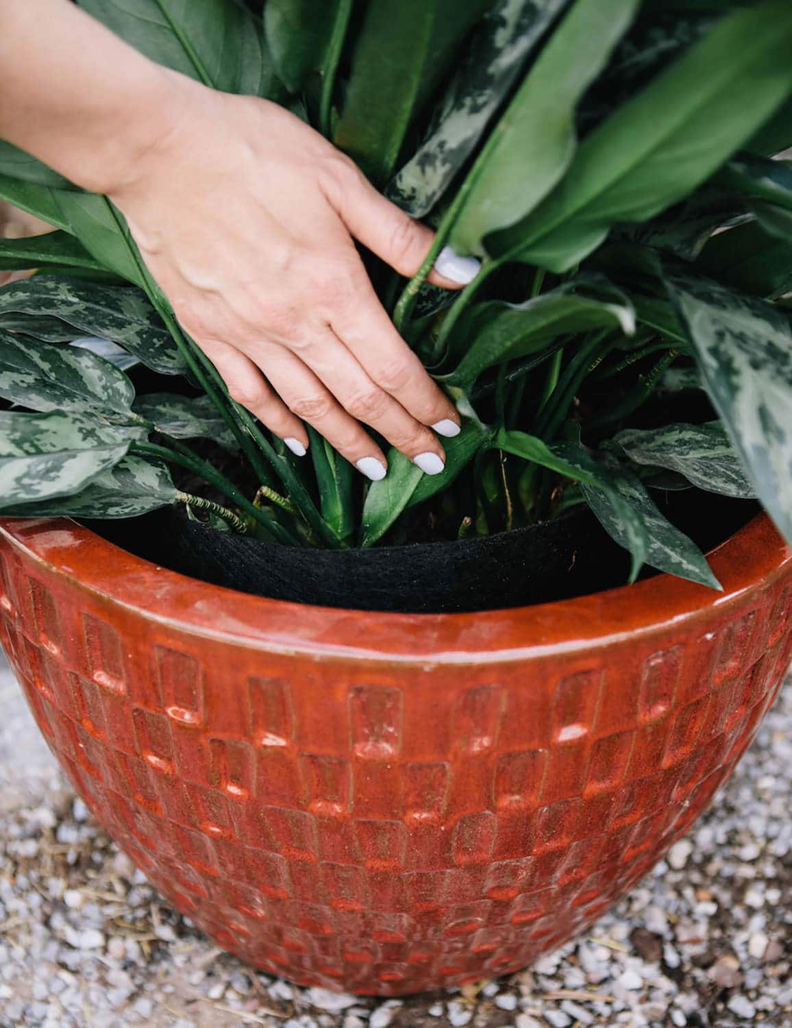 Smart Pot Fabric Planters Stofftopf atmungsaktiv