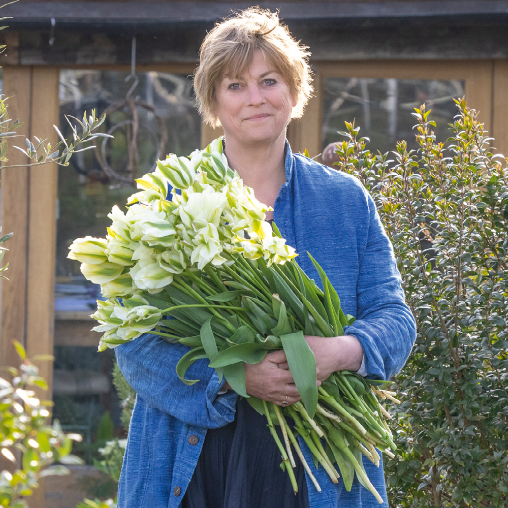 Sarah Raven Bulbs Spring Green Tulpenzwiebeln 10 Stück grün-weiß