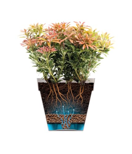 elho Loft Urban Blumentopf Rund 30 Anthracite 2er Set