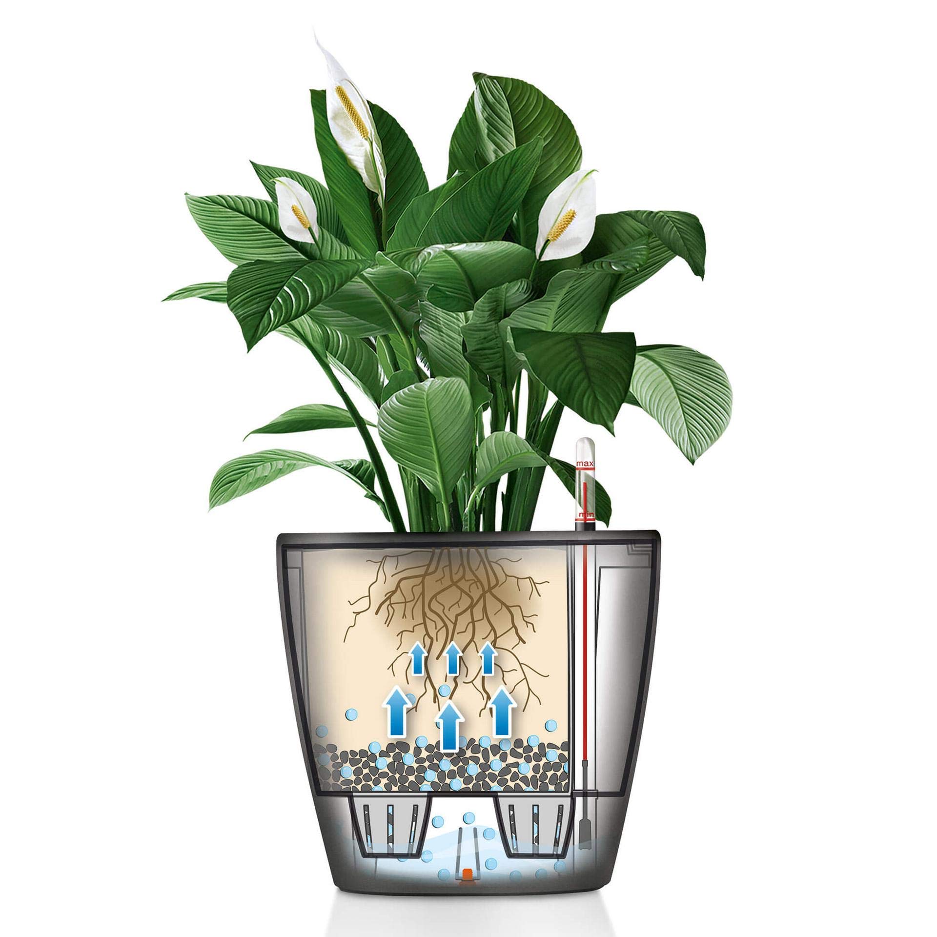 Lechuza Classico Premium LS 28 Blumentopf Silber Metallic