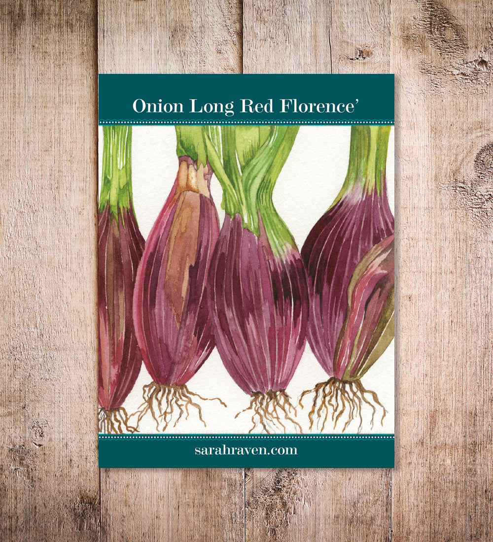 Sarah Raven Seeds Zwiebel Long Red Florence 350 Samen mild