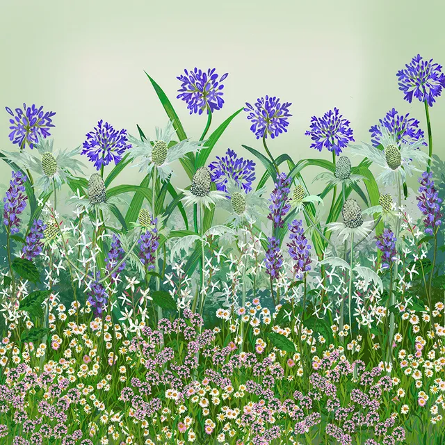 Sarah Raven Sandy Soil Border Pflanzen 18x9cm bienenfreundlich