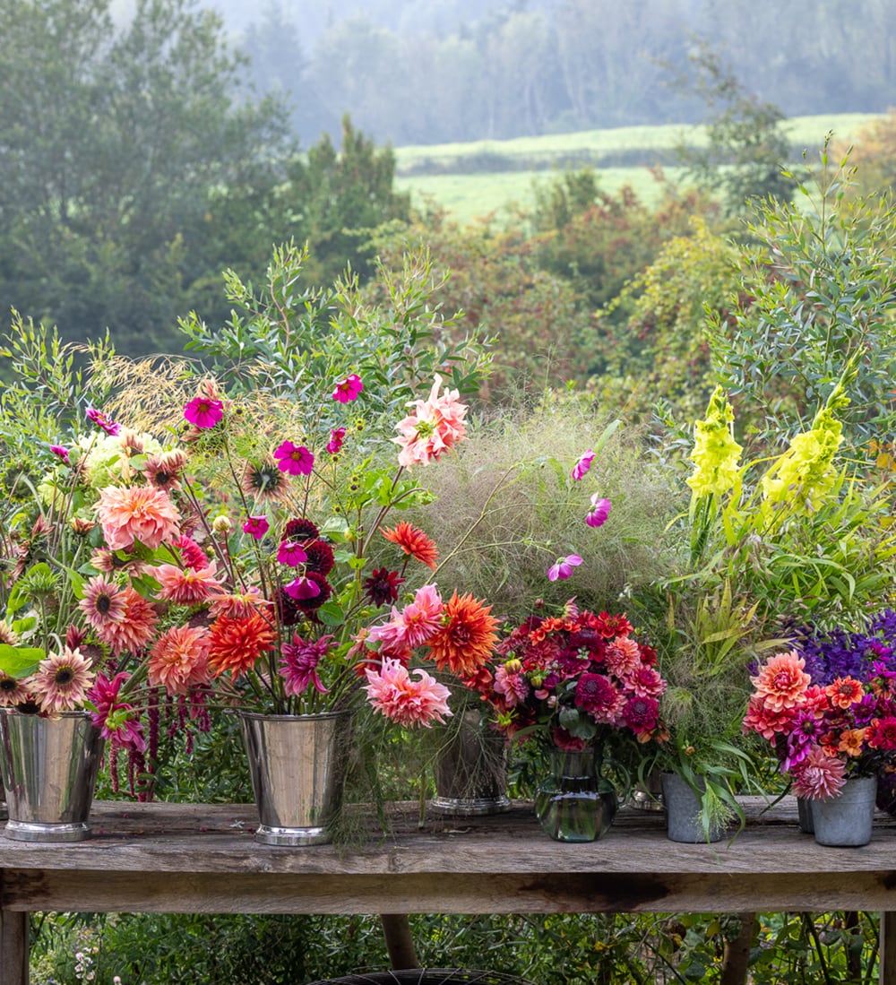 Sarah Raven Schnittblumen Kurs Perch Hill Farm September Termin