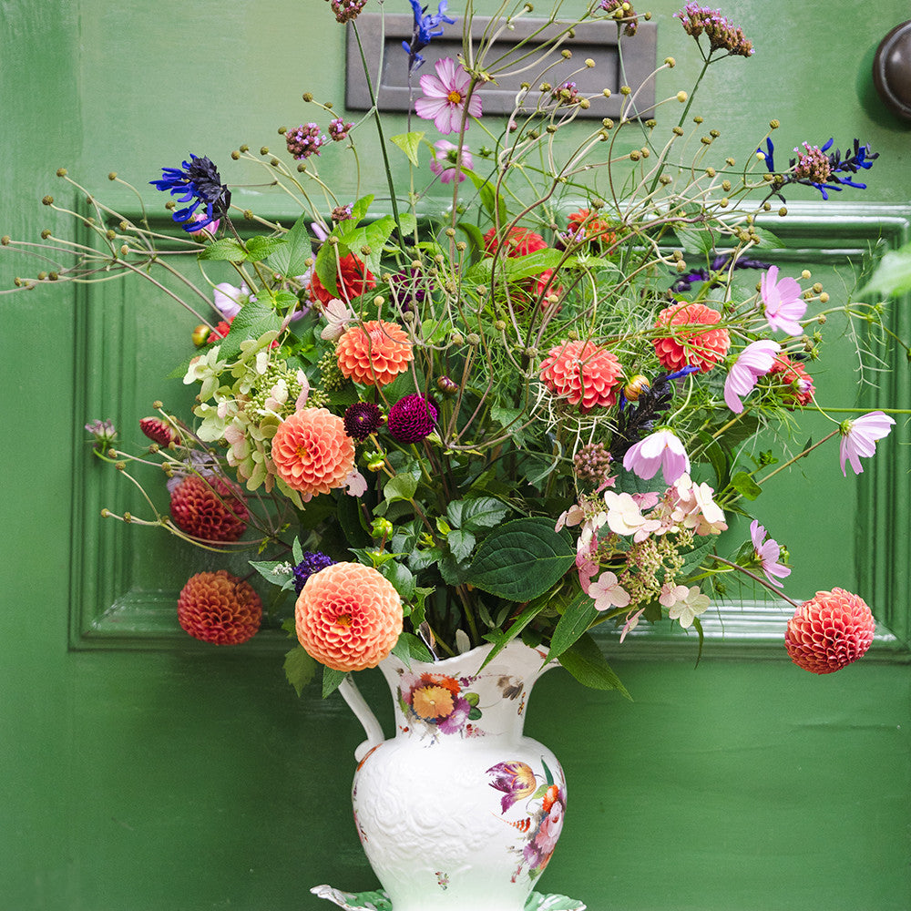 Sarah Raven Bulbs Butter Wakefield Dahlien Kollektion 4 Knollen mix