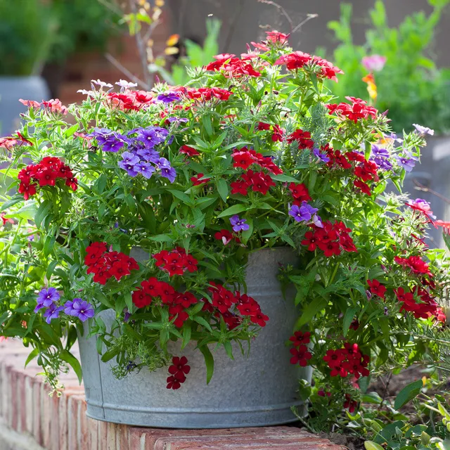 Sarah Raven Gardening Zink Pflanztopf groß 39cm für Balkon