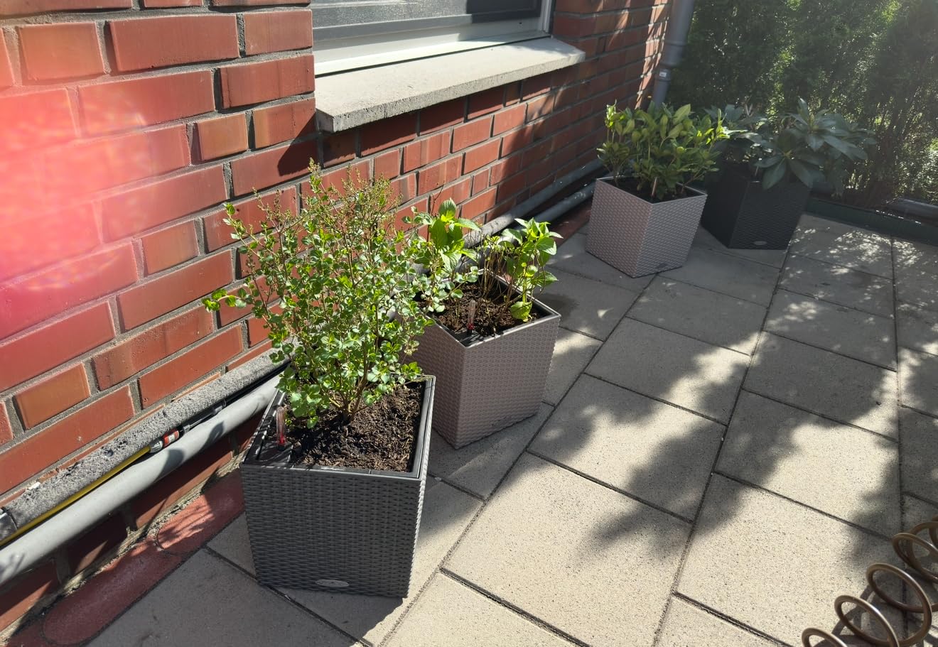 Lechuza Cube Cottage 50 Pflanzgefäß Granit Flechtoptik