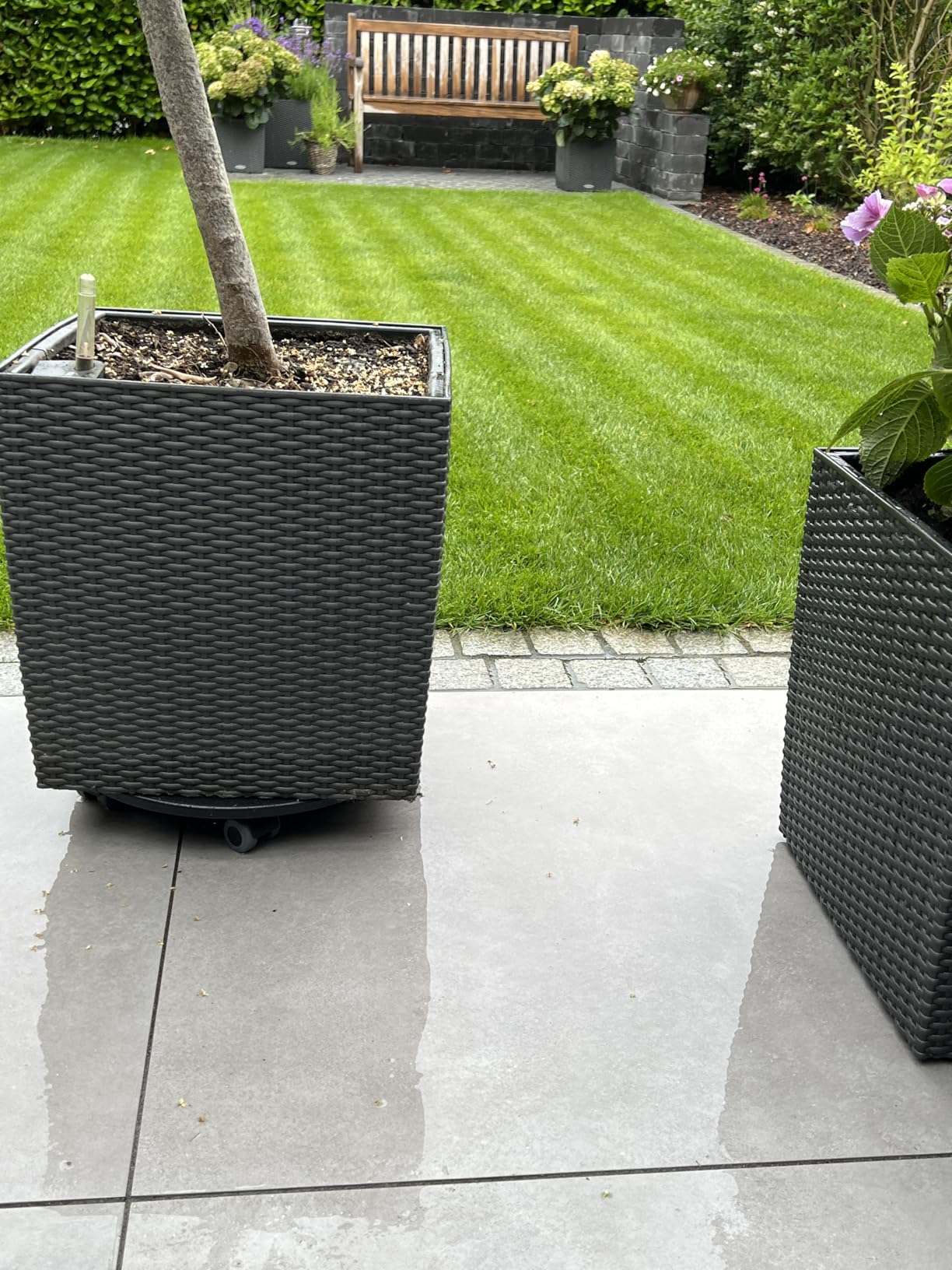Lechuza Cube Cottage 50 Pflanzgefäß Granit Flechtoptik