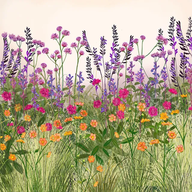 Sarah Raven Beginners Border Staudenset 18x 9cm pflegeleicht