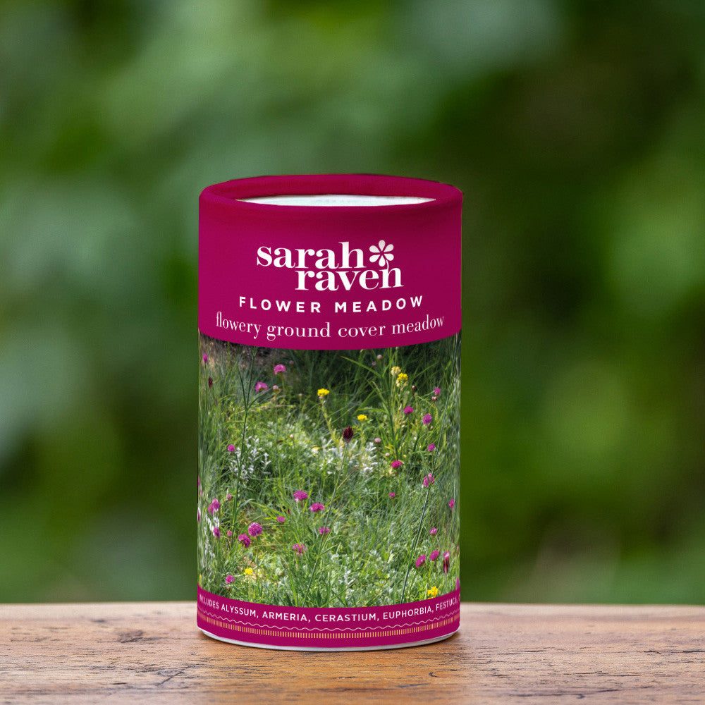 Sarah Raven Seeds Flowery Ground Cover Meadow Samen 6g + Shaker