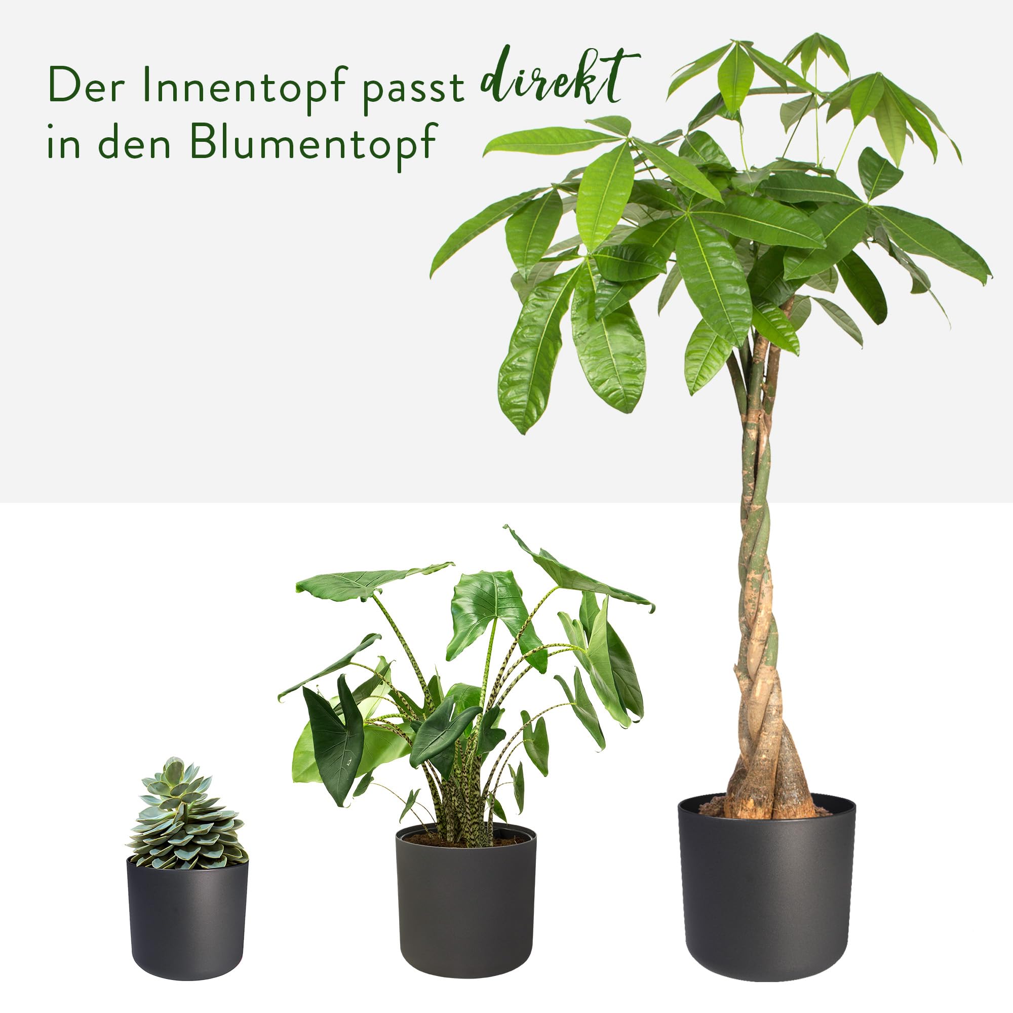 elho B.for Soft Rund Blumentopf 18 Anthracite 3er Set Innen