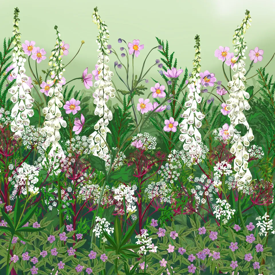 Sarah Raven Plants Shady Border Pflanzen 18x 9cm Schatten