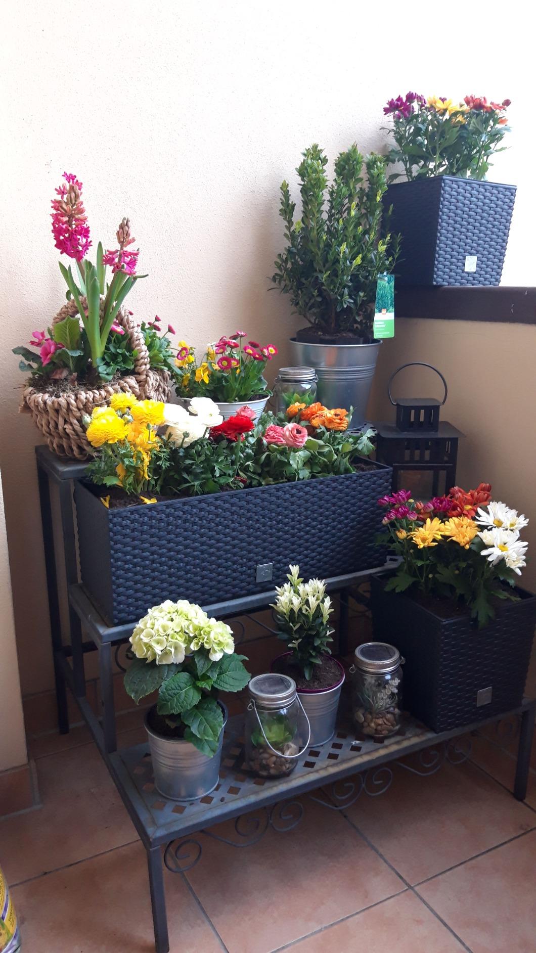 Prosperplast Rato Case Blumenkasten anthrazit 17L Bewässerung