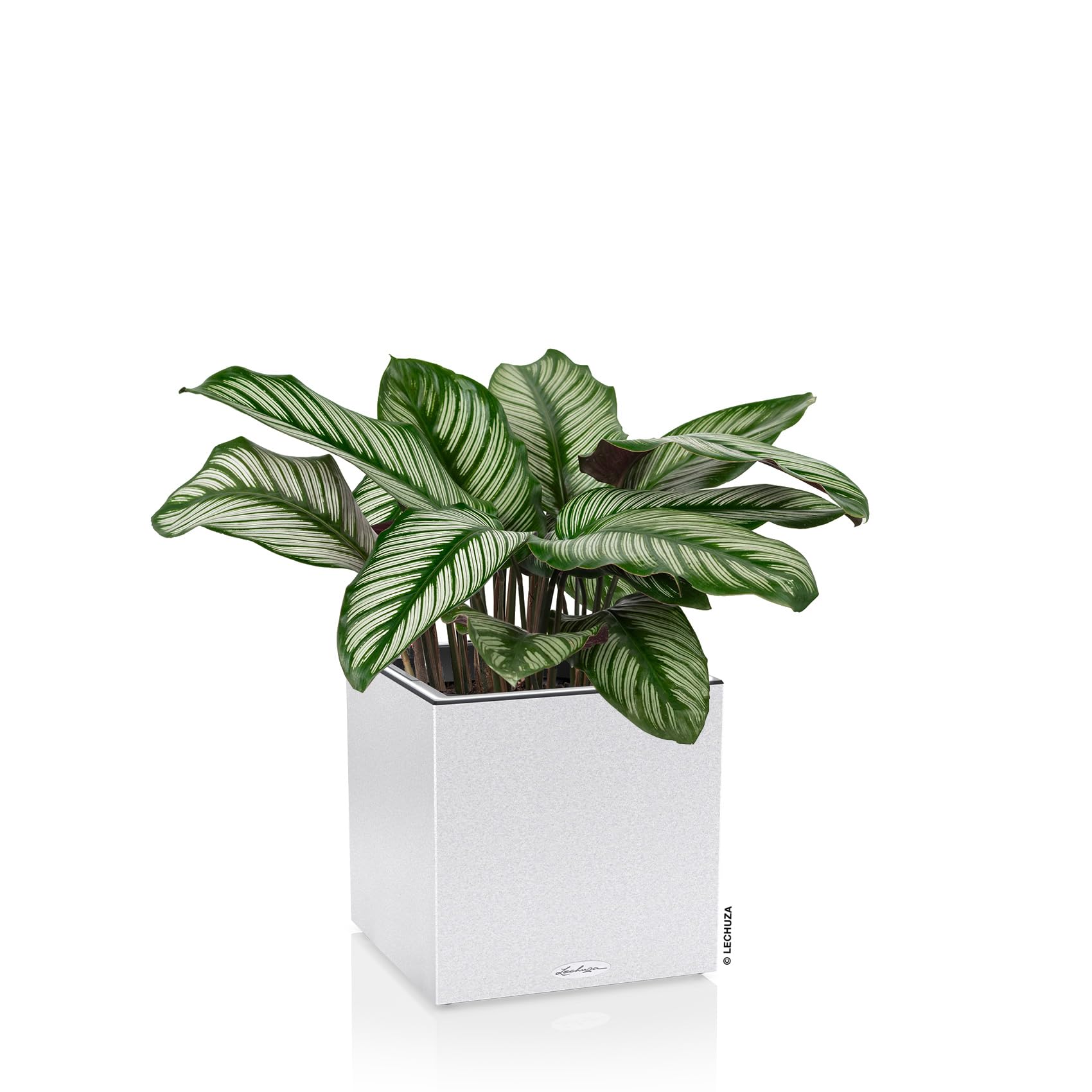Lechuza Canto Stone 30 Low LED Pflanzgefäß quarzweiß 12 L