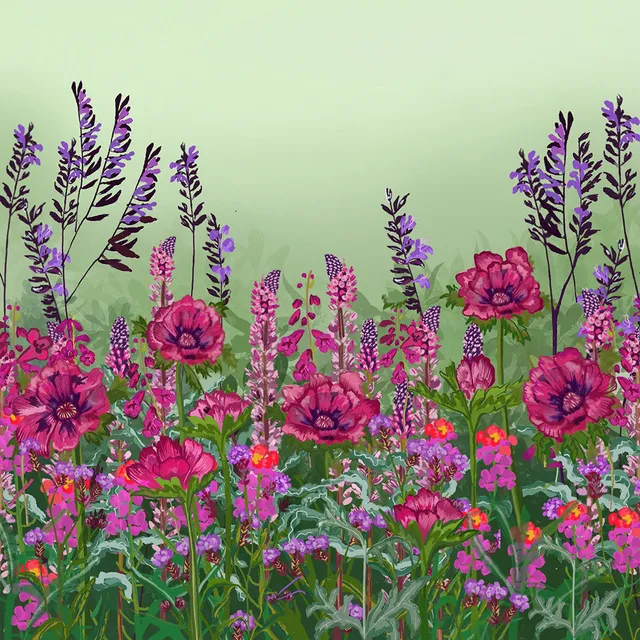 Sarah Raven Plants Sarahs Rich Border Collection Pflanzen 18x9cm dunkel