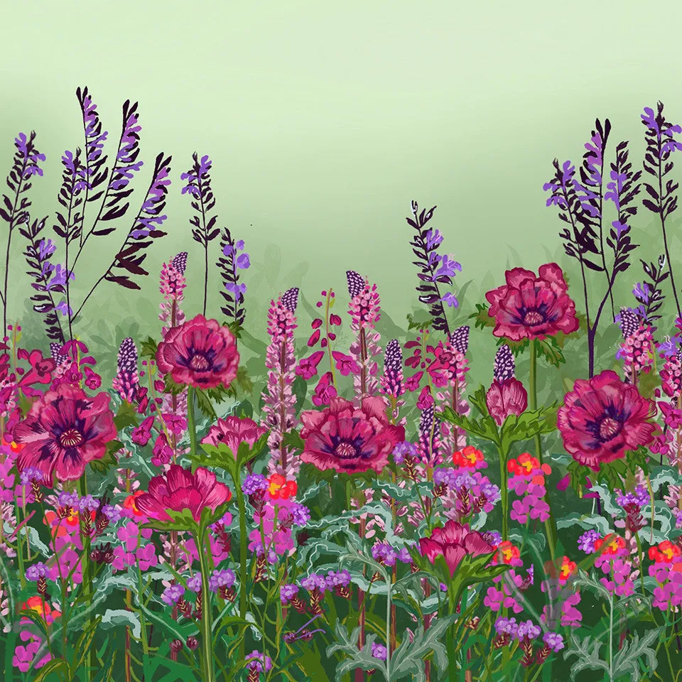 Sarah Raven Plants Sarahs Rich Border Collection Pflanzen 18x9cm dunkel