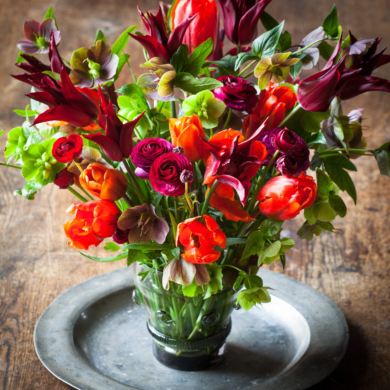 Sarah Raven Bulbs Tulip Request Tulpe 10 Zwiebeln blutorange duftend