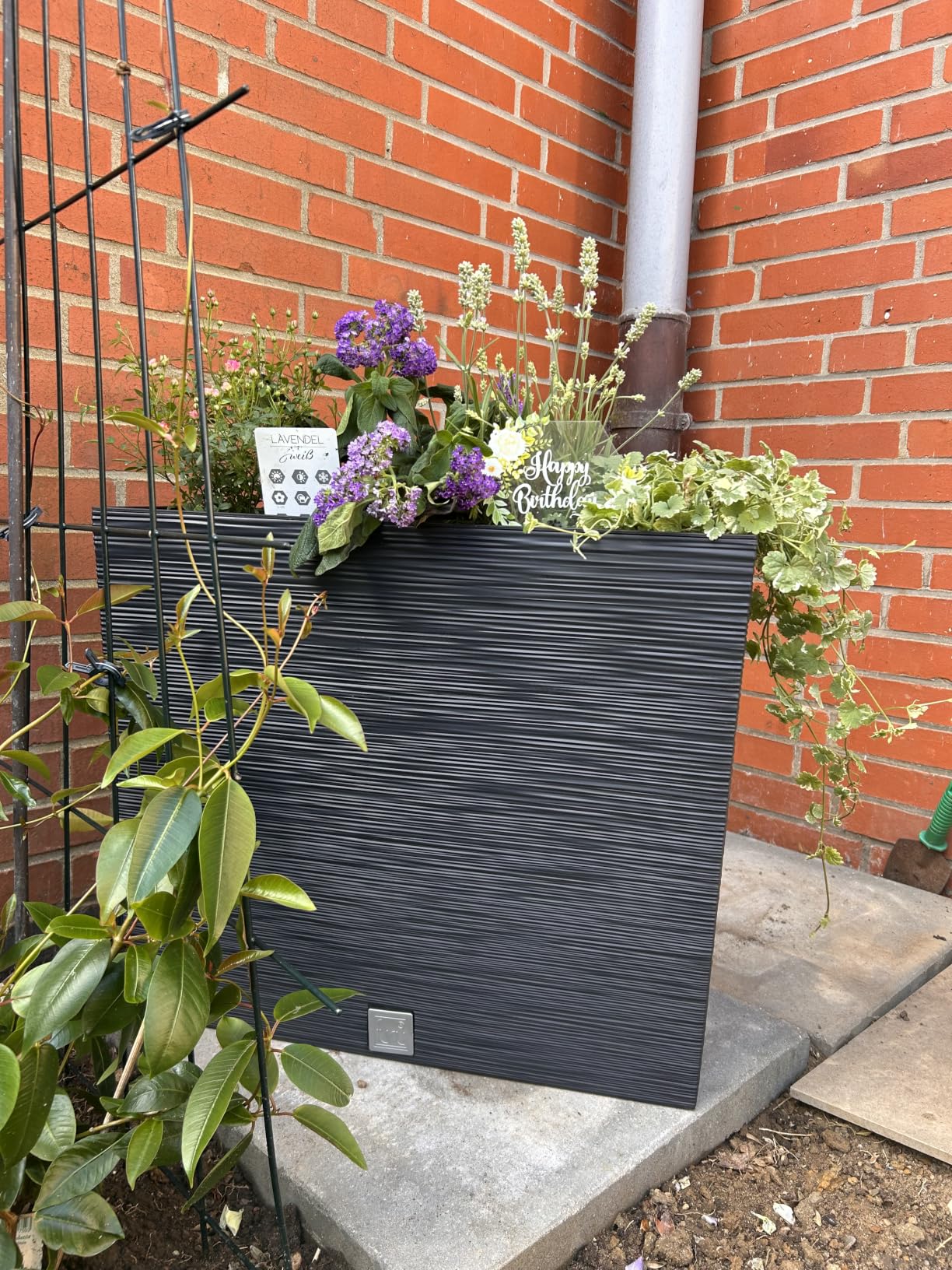 Prosperplast Boardee Blumenkasten Anthrazit 58 cm mit Einsatz