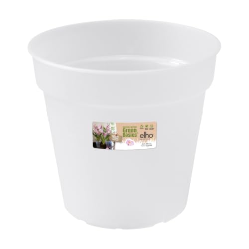 elho Green Basics Orchideentopf 13 cm transparent rund