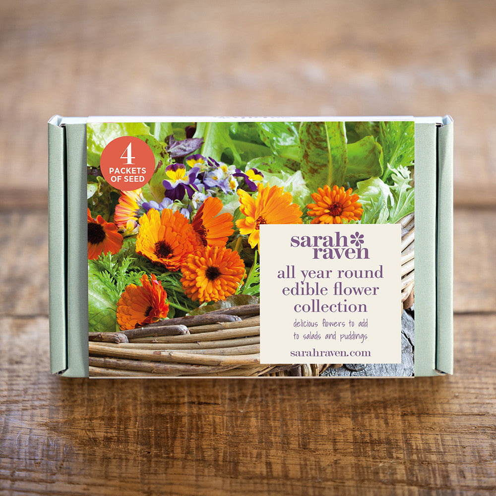 Sarah Raven Seeds Essbare Blüten Samen 4 Packungen Geschenkbox