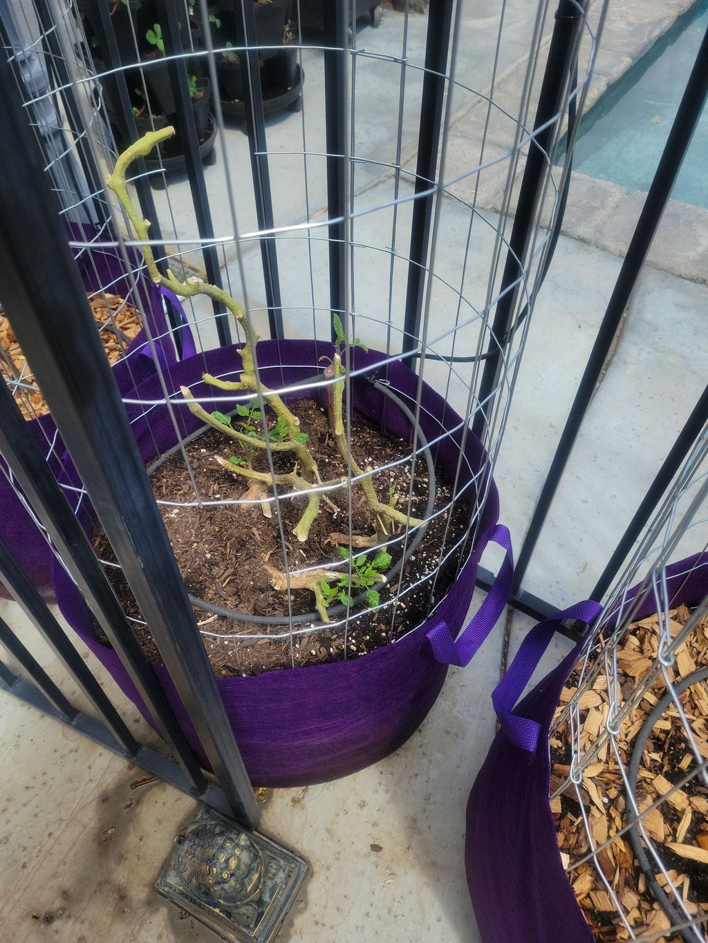 Smart Pot Fabric Planters Stofftopf atmungsaktiv
