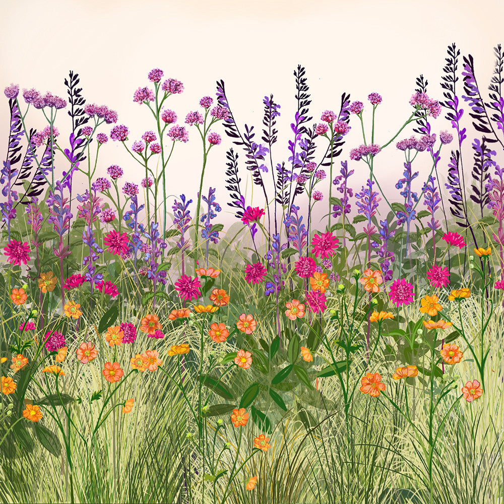 Sarah Raven Beginners Border Staudenset 18x 9cm pflegeleicht