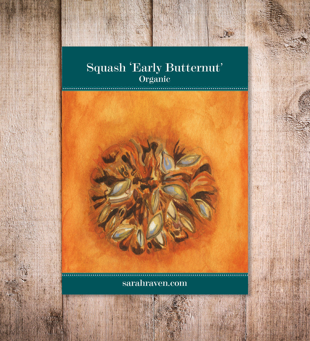 Sarah Raven Squash Early Butternut Samen 20 Stück Bio