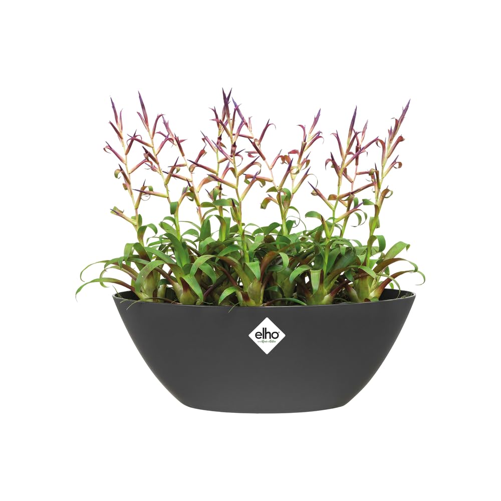 elho Brussels Oval 20 Blumentopf Anthrazit 20 cm wasserdicht