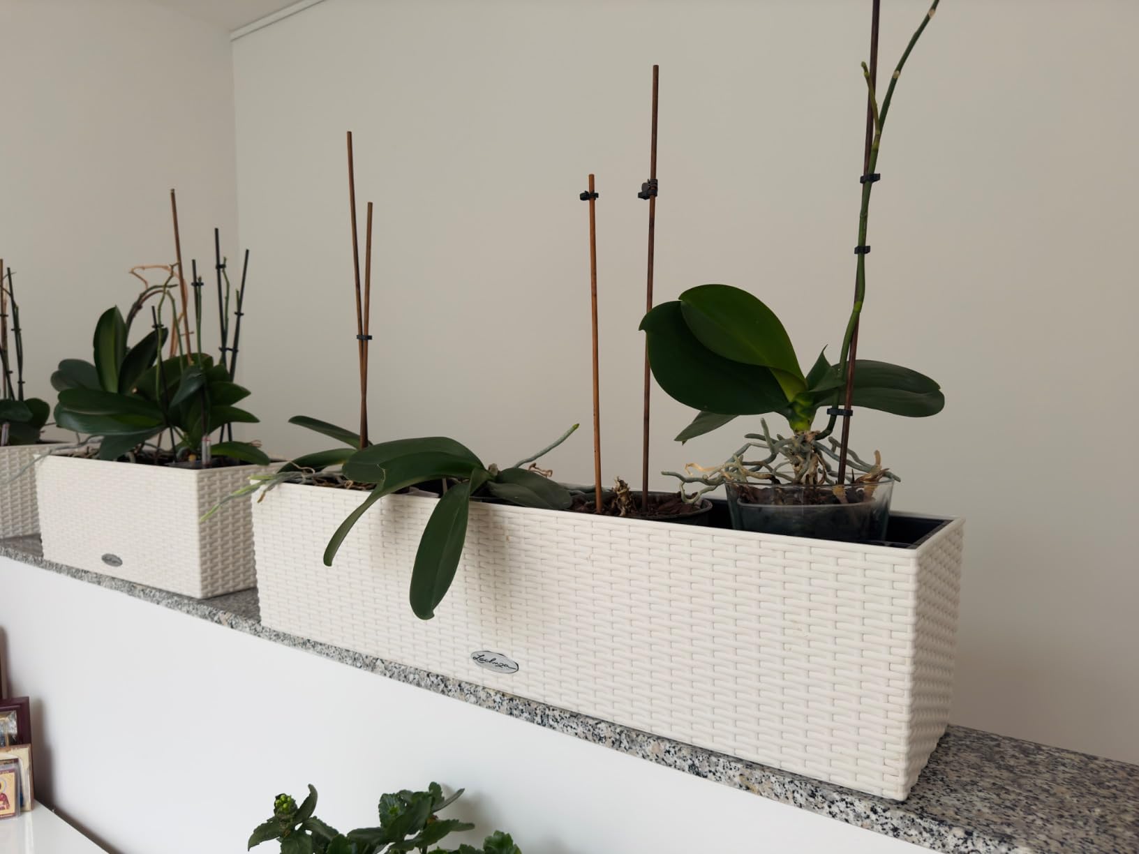 Lechuza Balconera Cottage 50 Pflanzgefäß Granit Bewässerung