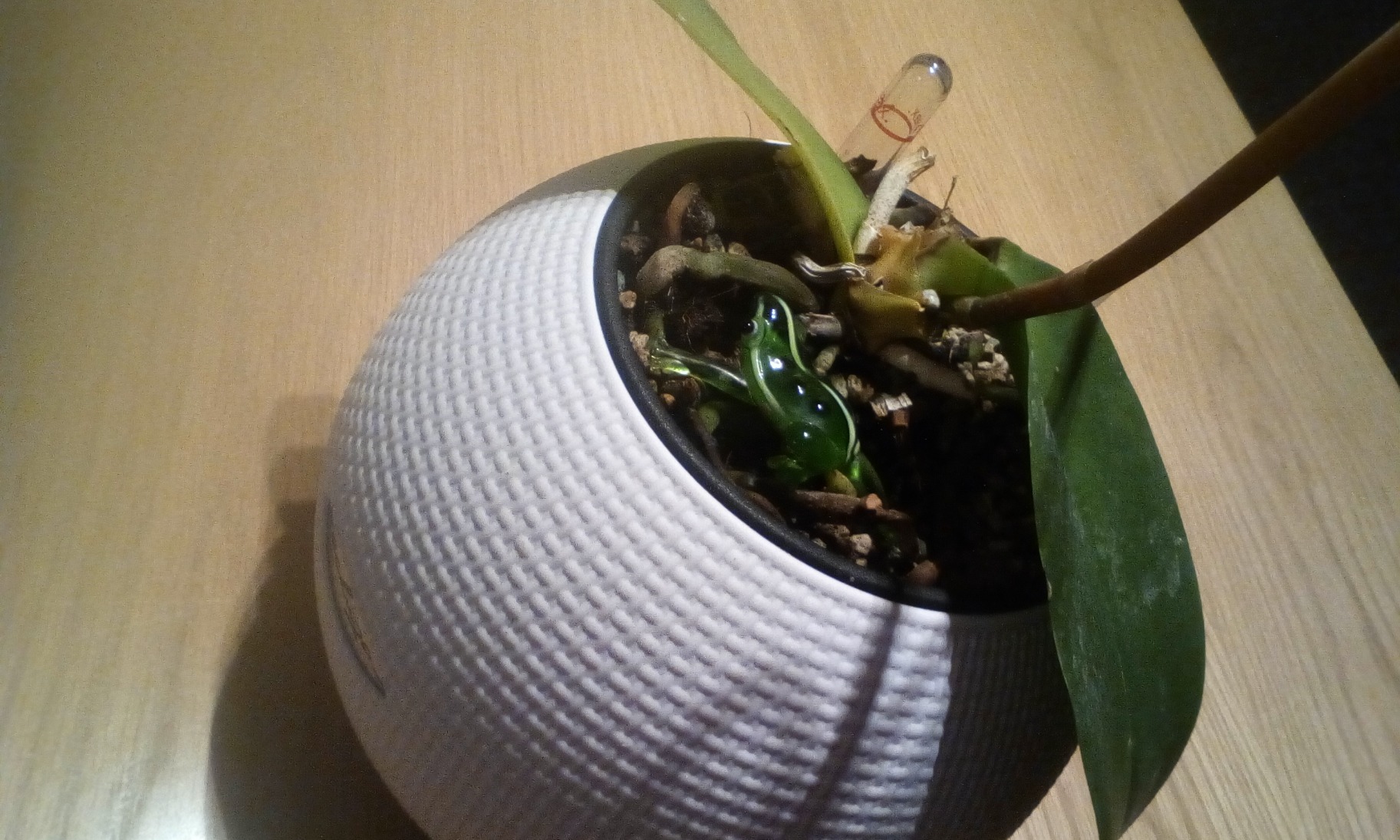 Lechuza Orchid PON Orchideensubstrat 6 L mit Langzeitdünger