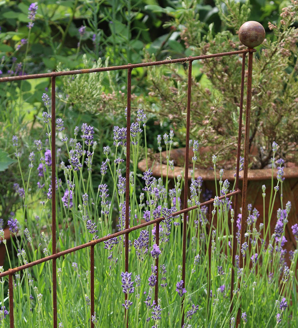 Sarah Raven Plant Screen Rankhilfe Stahl rostig 3er-Set 75x85 cm