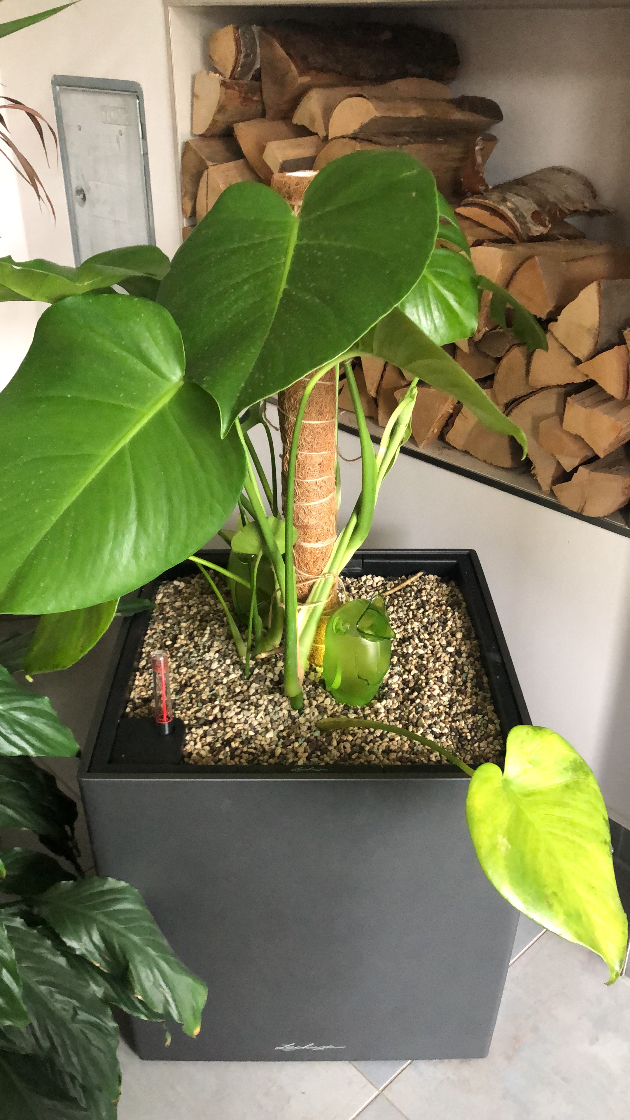 Lechuza Cube Premium 40 Pflanzwürfel Weiß Hochglanz 40cm Bewässerung