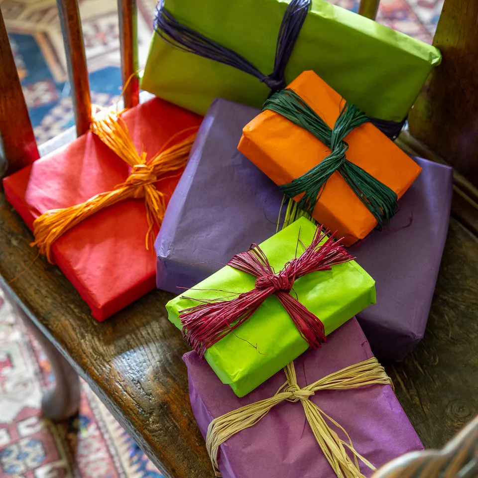 Sarah Raven Raffia Sets Bast Purple Orange kompostierbar Gartenschnur