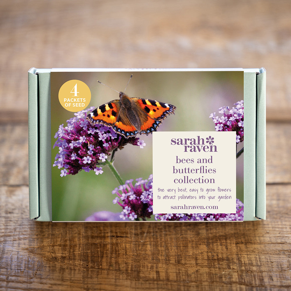 Sarah Raven Seeds Bienen Box Saatgut 4 Packungen Geschenk