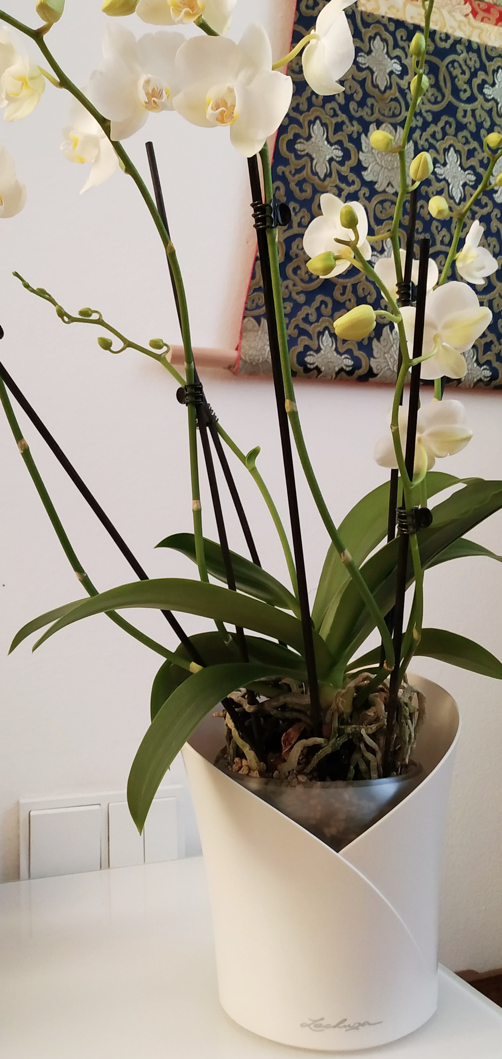 Lechuza Orchidea Color Orchideentopf Weiß Ø18cm Dochtsystem
