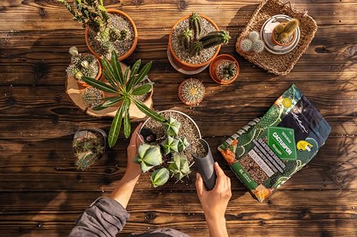 Lechuza Cactuspon Pflanzsubstrat 6 Liter Kakteen