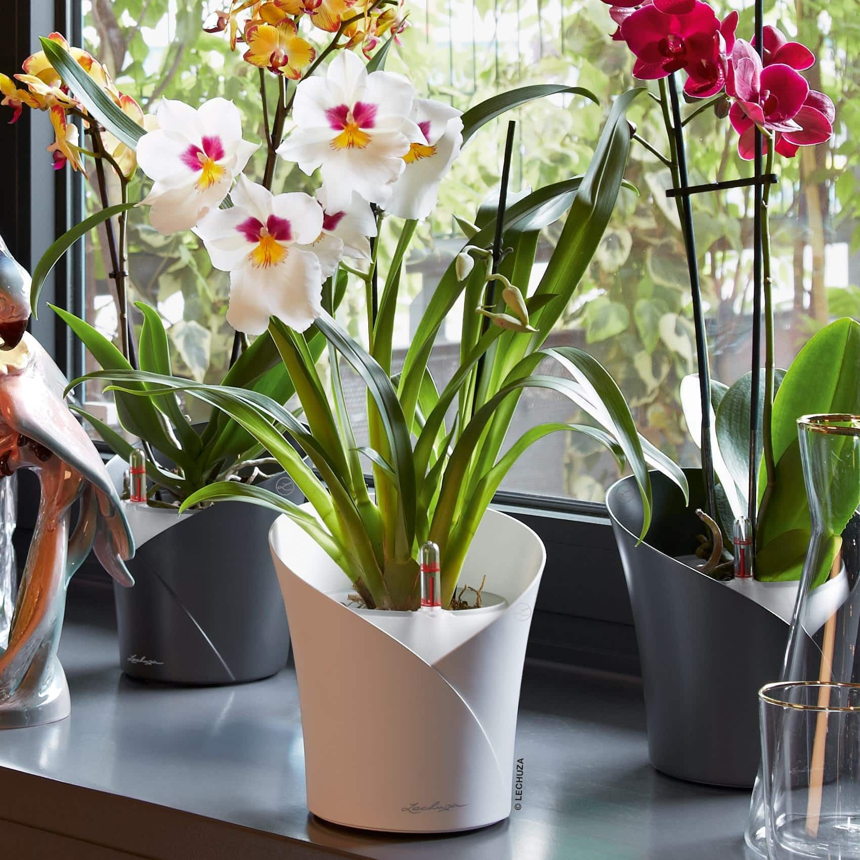 Lechuza Orchidea Color Orchideentopf Weiß Ø18cm Dochtsystem