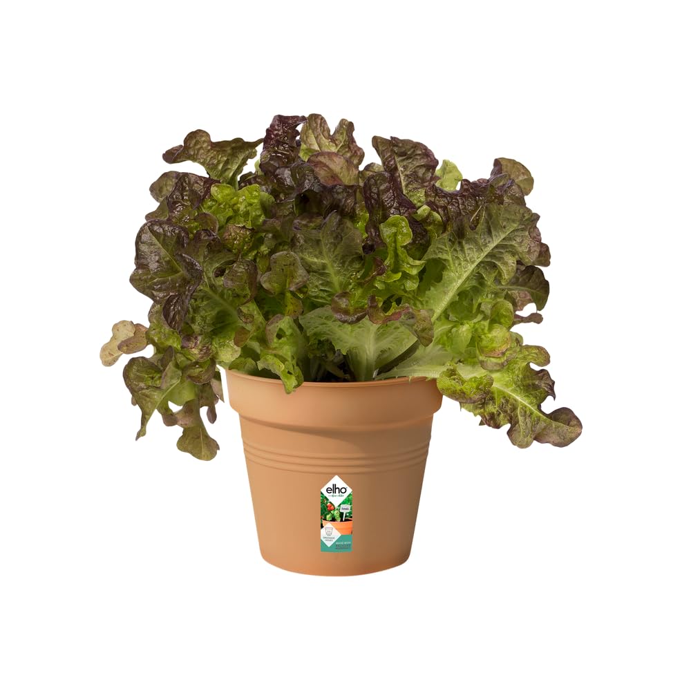 elho Green Basics Anzuchttopf 11cm Mild Terra Recycling-Kunststoff