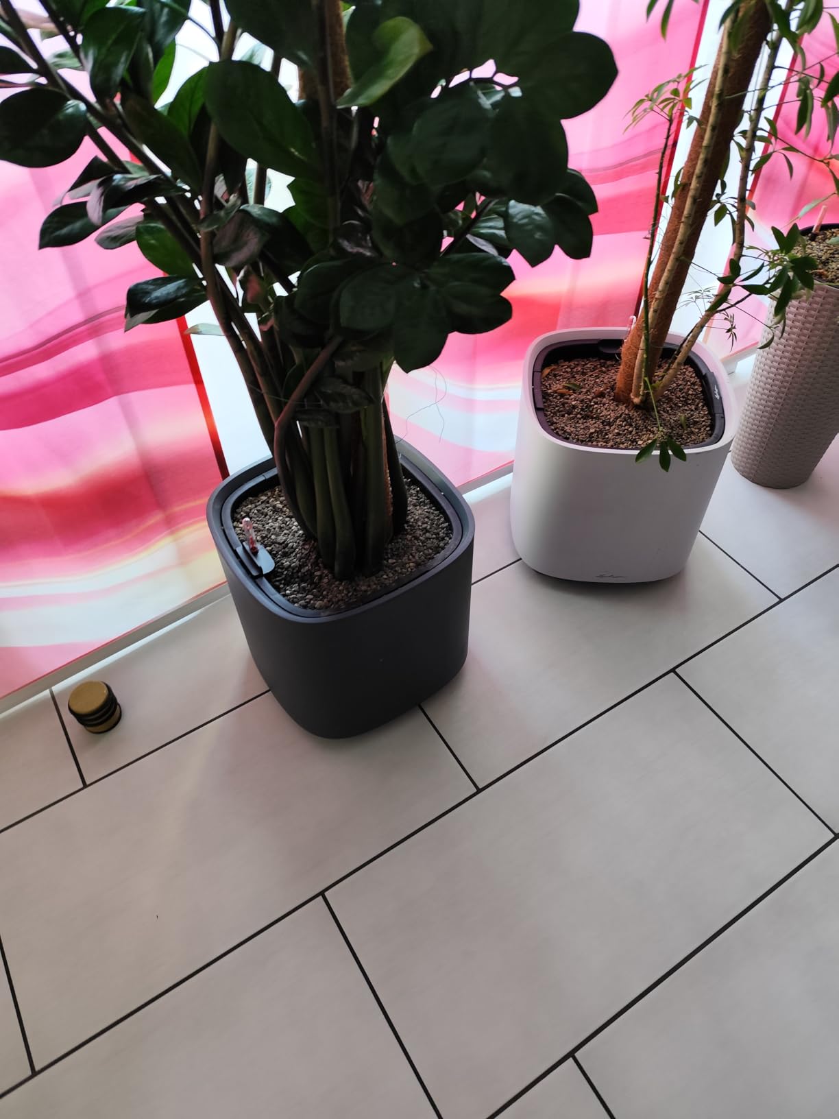 Lechuza PILA Planter Pflanzgefäß lichtgrau 35 cm Bewässerung